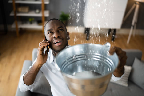 Best Water damage restoration specialists  in Granger, IA