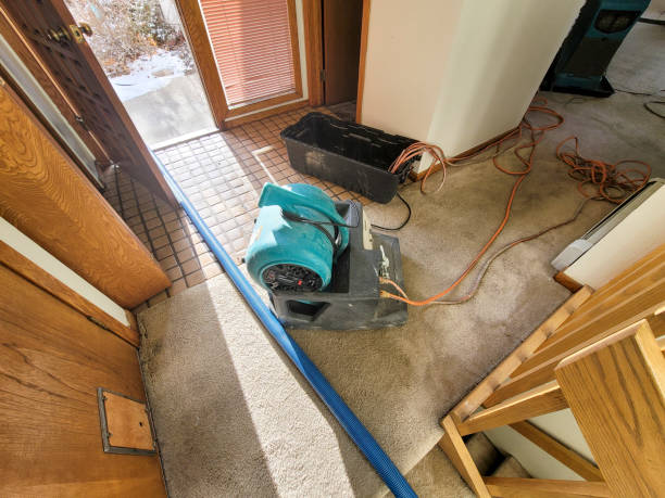 Water damage restoration insurance claims in Granger, IA